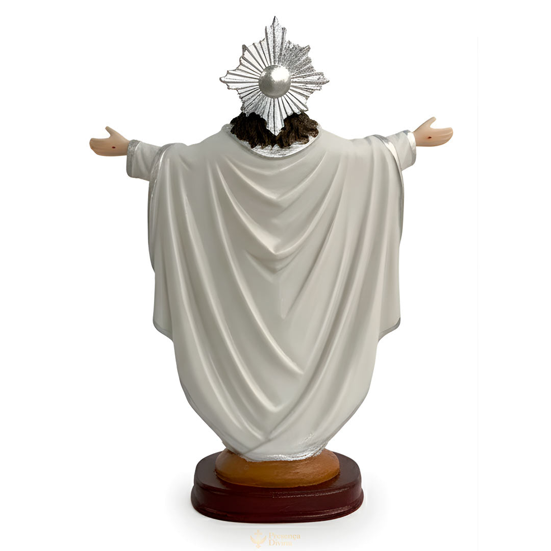 Sagrado Coração de Jesus Misericordioso