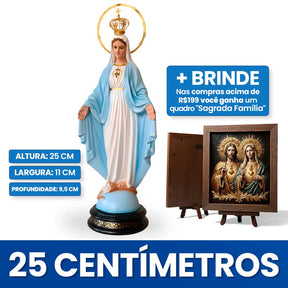 Nossa Senhora das Graças - Edição Especial®
